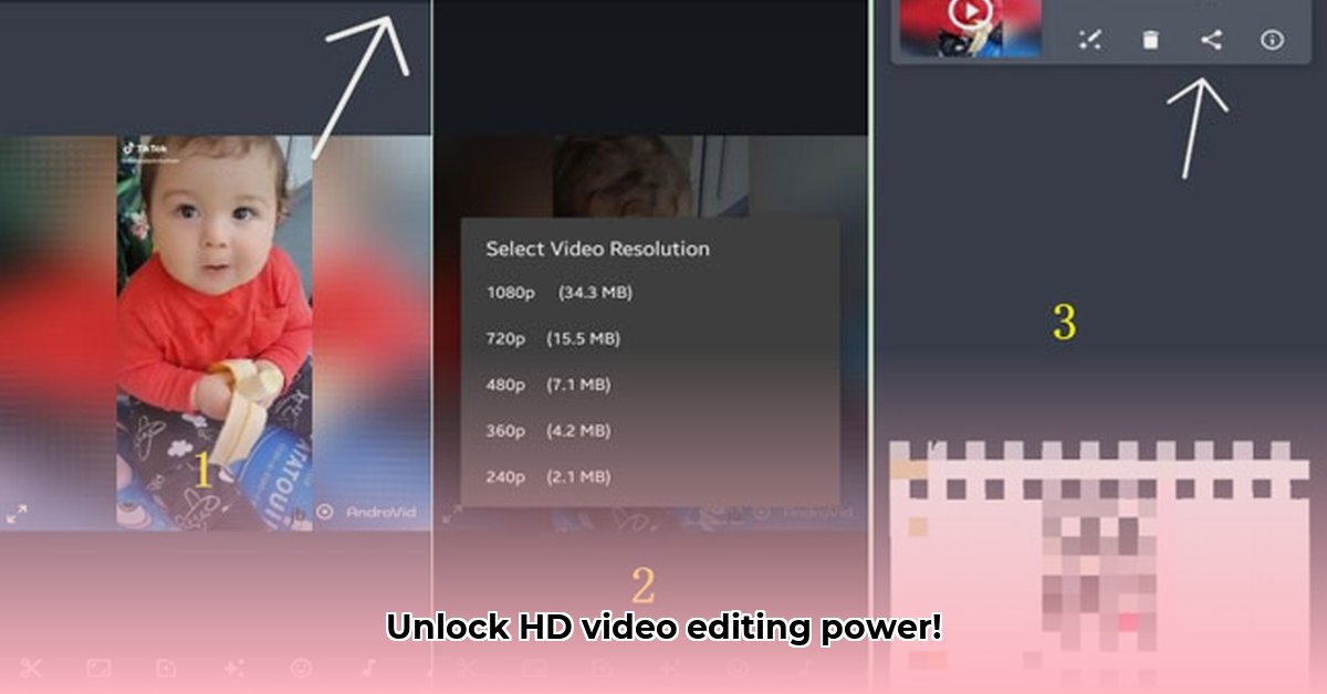 androvid-pro